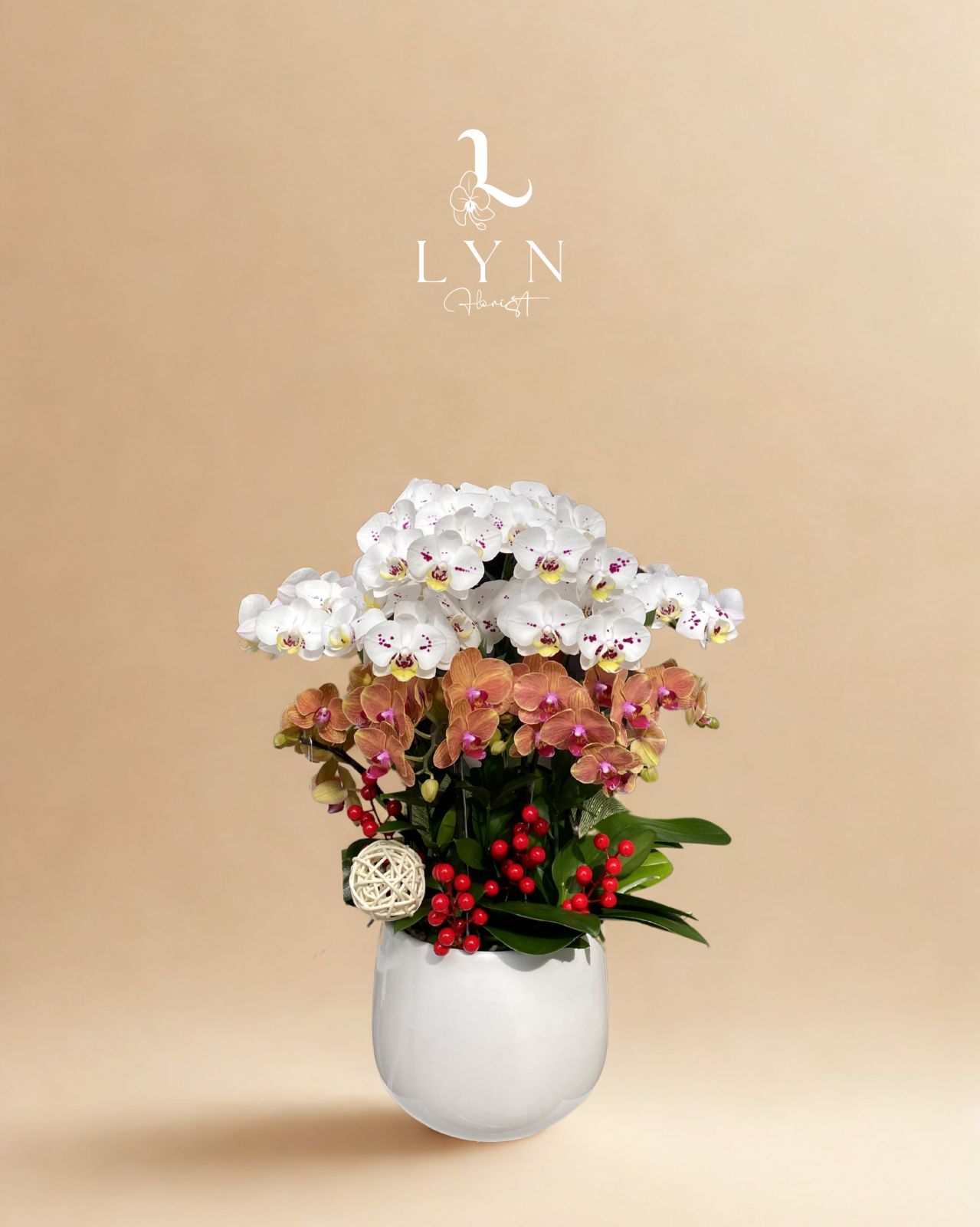 Chậu Hoa Lan Y063-2v mix Mini Cam-2v